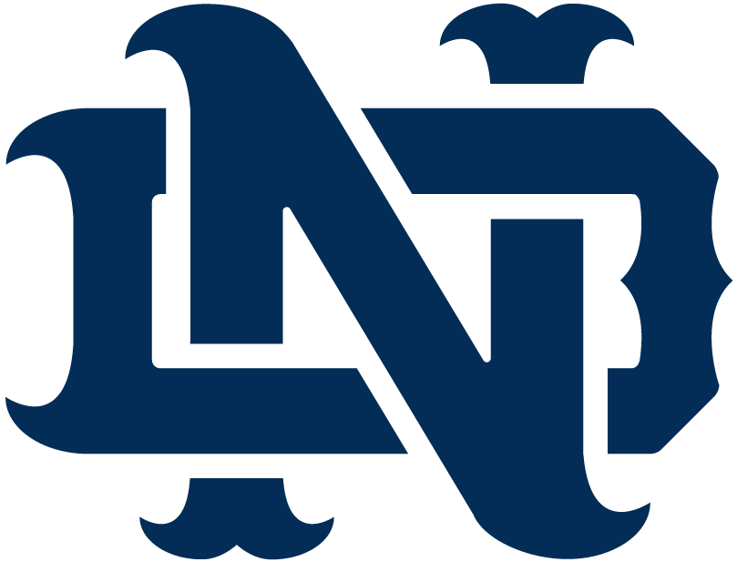 Notre Dame Fighting Irish 1994-Pres Alternate Logo v11 iron on transfers for T-shirts